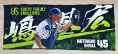 野球 ヤクルトスワローズ 嶋基宏 フォトフェイスタオル グッズ