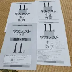 2018年度11月　学力テスト中2