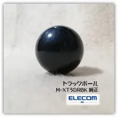 Item thumbnail for item 049ba048-891b-479c-ad7c-88d88972bf9b