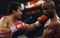 Cleto Reyesボクシンググローブセット