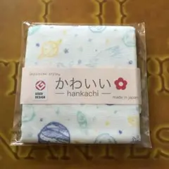 Item thumbnail for item d435cdd0-c493-4e40-b288-150075a08bf8