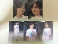 乃木坂46 生田絵梨花 生写真 僕は僕を好きになる 5種コンプ 選抜ver.