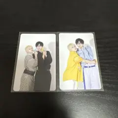 パンダドラゴン なるき ようたペア 2枚セット バラ売り可