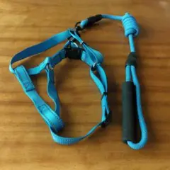 Item thumbnail for item 5e93a9b4-8a08-40da-90c4-98b27252d2d2