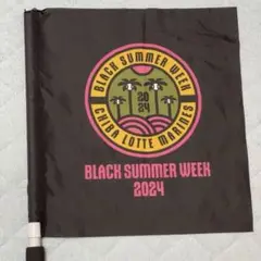 Item thumbnail for item d1059d3c-4f91-4bcc-ab44-2f95f1e310df