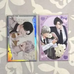 drap 25周年 記念展 Hiカロリー オーロラカード 特典 イラストカード