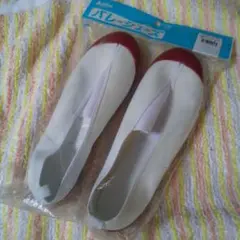 上履き 25.5