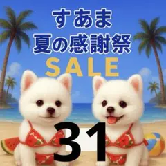 ✨夏の感謝祭セール✨パネル【Ｎｏ．31】