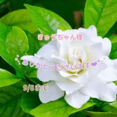 きゅうちゃん様 おまとめパーツ(˘͈ᵕ ˘͈ *)♡