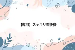 【専用】サンリオ ぬいぐるみといっしょ