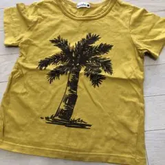 branshes パームツリー Tシャツ 120