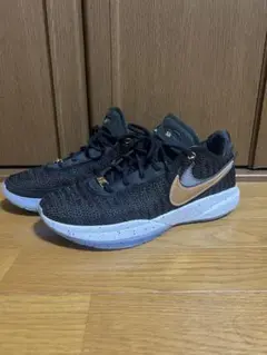 NIKE ナイキ LEBRON XX EP
