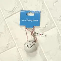 ディズニーランド　バレーボールキーチェーンストラップ