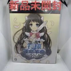◯神様と運命革命のパラドクス 初回限定版　新品未開封