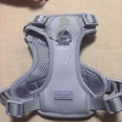 Item thumbnail for item e5f959c9-c3f0-492a-b7f5-4aac30ebaa02