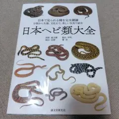 2025年最新】田原義太慶の人気アイテム - メルカリ
