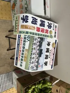 沖縄尚学優勝記念