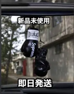 タイムセール！！Supremeミニグローブ　アクセサリー