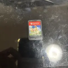 ポケットモンスター Let's Go! イーブイ ソフトのみ