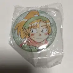 忍たま乱太郎 アニカプ 缶バッジ 善法寺伊作