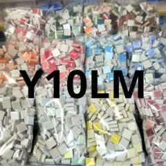 Y10 LM 各200g×★12種セット