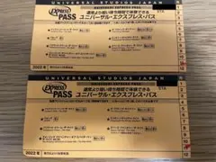 USJユニバーサル・スタジオ・ジャパン エクスプレスパス2枚