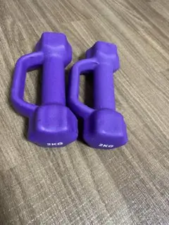 2kg 2個セット　パープル 六角形ダンベル