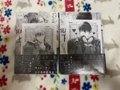 2ndバージンのじょうずな捨て方　Season2上下巻セット