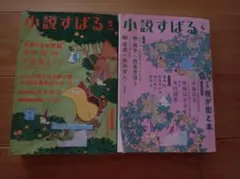 【2冊リサイクル本】小説すばる 4号 5号 セット