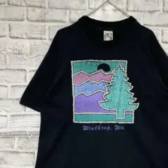 USA製90sヴィンテージTシャツ！シングルステッチ　ブラック半袖古着L722