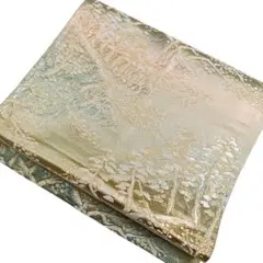 Item thumbnail for item 2ecd6fc1-0449-4598-b7be-4ee0fb0ae8eb