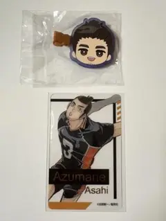 Item thumbnail for item 54efc841-a6f6-4708-a24f-3a7bbcdaff21