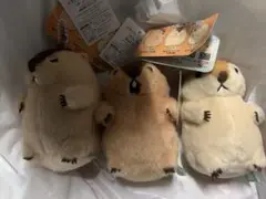 マーモットのもっとっと　LMC全３種コンプセット　　ぬいぐるみ　マスコット