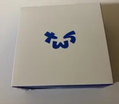 TWS デコキット DECO KIT ペンライト ソウルコン