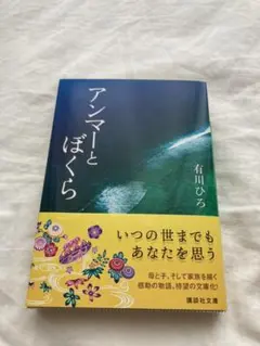 アンマーとぼくら