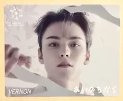 SEVENTEEN バーノン VERNON あいのちから トレカ ステッカー