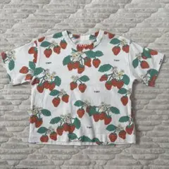 tinycottons Tシャツ サイズ3y