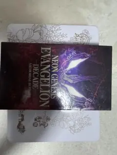 NEON GENESIS EVANGELION PSPソフト2本セット