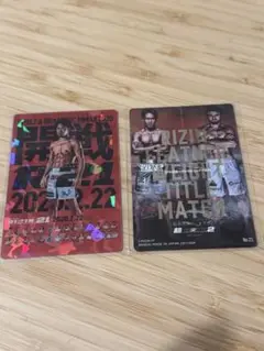 RIZIN ポテトスティック ポスターカードコレクション　No.08・No.21