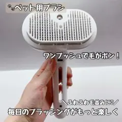 Item thumbnail for item d04a8c60-94f8-4f84-b327-bbc0f937eca7