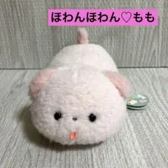 ほわんほわん　ぬいぐるみ　もも　韓国　匿名配送