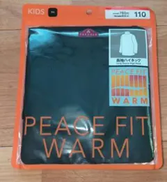 Item thumbnail for item 956e7dca-97a1-4535-ba76-11adba55a551