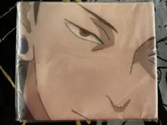 Item thumbnail for item 19108ffa-e82e-4927-b464-1a97e7b50eba