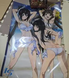 最終値下げ　インフィニットストラトス　ポスター