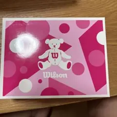 Wilson ゴルフボール用ペアシリーズ 4個入り