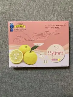 Item thumbnail for item 5fcc61ce-7120-4f71-b45c-8107b9152a19