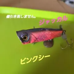 ジャッカル　ビンクシージャンク