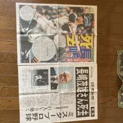 長嶋茂雄さん死去 記念新聞