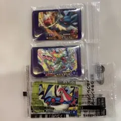 ポケモンフレンダベストタッグ1弾 ルカリオ、カミツオロチ スペシャル ミロカロス