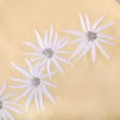 ♦️3日限定割引♦️ペタコ刺繍半衿♦️蜂蜜色に木春菊